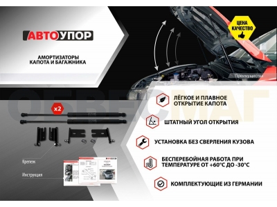 Амортизаторы капота Автоупор, 2 шт. для Toyota RAV4 2019-2021